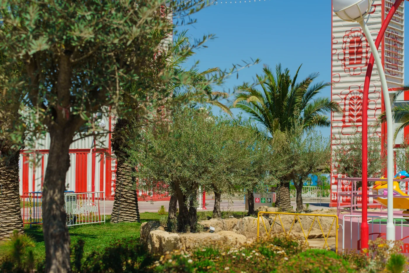 Olive trees by the red-and-white pavilions